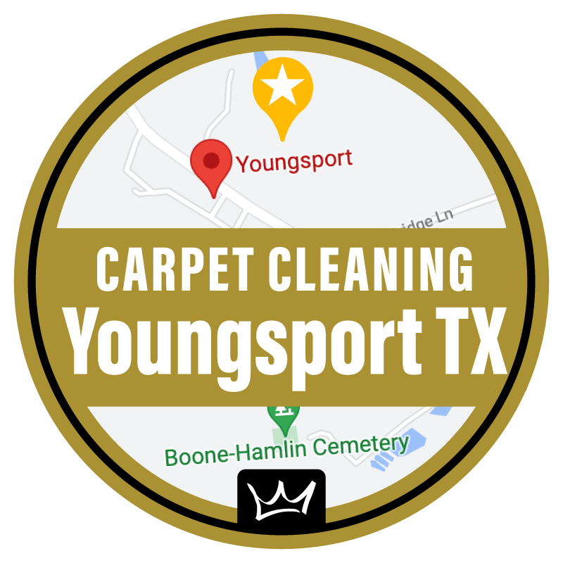 carpet cleaning youngsport tx